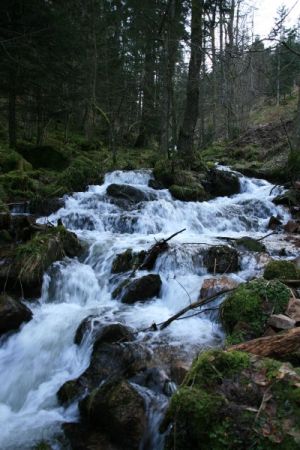 Le torrent de la Serva