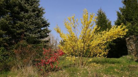 Petit rouge et grand jaune.