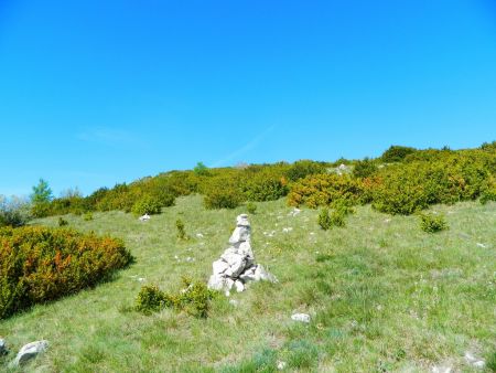 Une petite traversée à droite pour éviter les buis serrés.