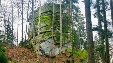 Bärenstein vu du chemin.