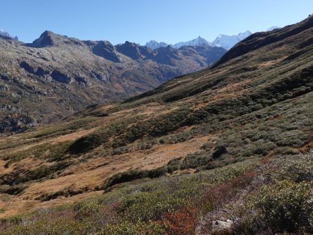 On bascule dans le versant nord-est, qu’on traverse en descendant légèrement...