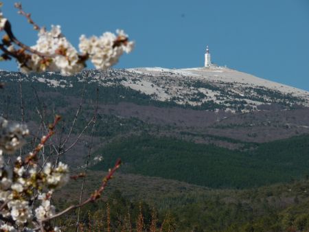 Le Ventoux au printemps.