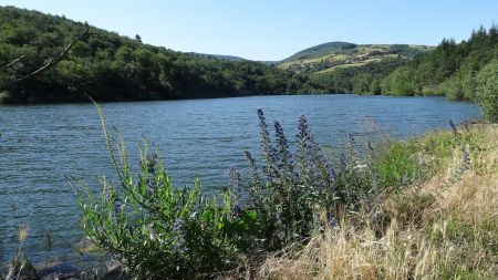 En longeant la rive gauche du lac.