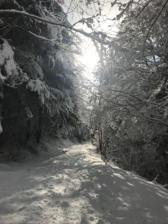 Un petit rayon de soleil en montant