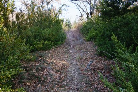 J1-23 sur le sentier qui rejoint la Charbonnière