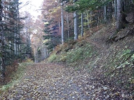 Suivre le sentier à droite