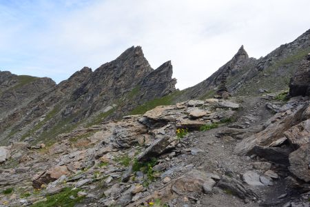 Vue vers le col de Soustre manifestement très peu fréquenté.