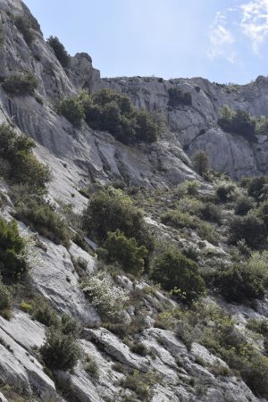 Falaise calcaire sur le tracé jaune