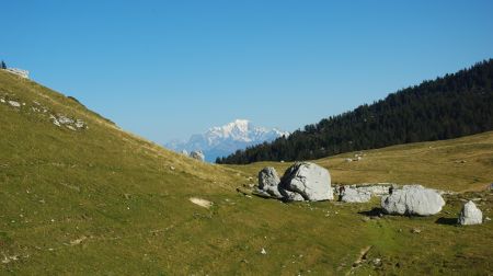 Grandes prairies, rochers, vue sur le Mont Blanc ! Le pied !