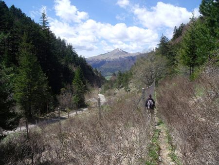 Droit sur Toussière