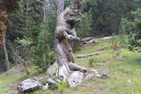 Animal monstrueux dressé sur son séant ?