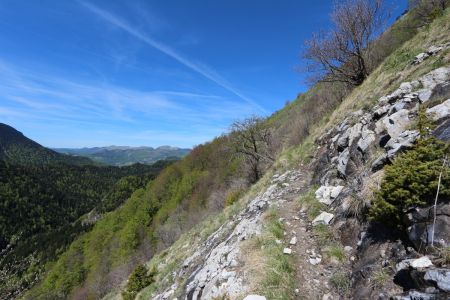 Dans les pentes de Grand-Côte.