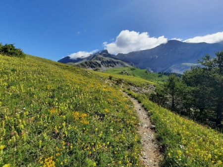 le-pinet-1924m-et-t-te-de-belau-2242m-par-le-col-de-mariaud