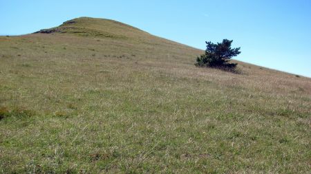 Le dôme herbeux du sommet en vue.