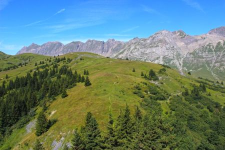 Le Plateau des Bénés