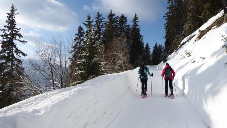 Agréable sentier