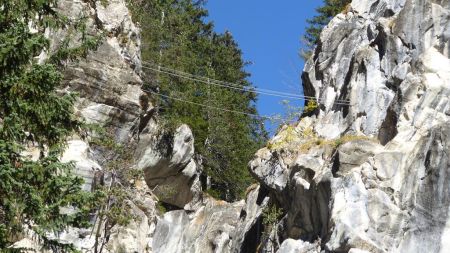 Zoom sur le pont de singe