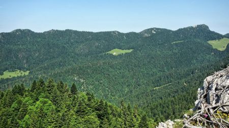 Le «Désert de Chartreuse»