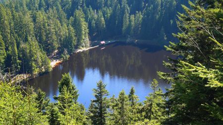 Seeblick, point de vue sur le Glaswaldsee.