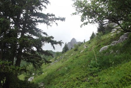 Du sentier du Col Vert, vue arrière sur le Roc Cornafion