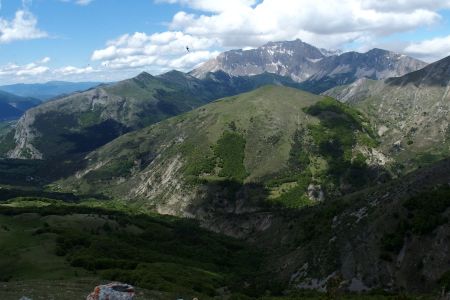 Une hirondelle parmi toutes celles qui voletaient autour de cette crête