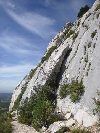 L’écaille de tortue (sentier vert «Forcioli»)