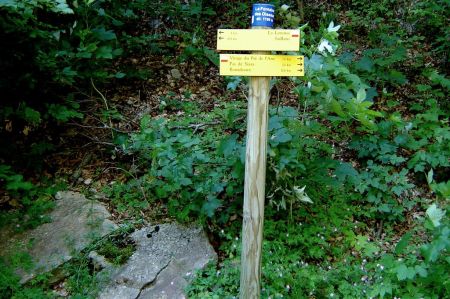 La bifurcation de la Fontaine aux Oiseaux.