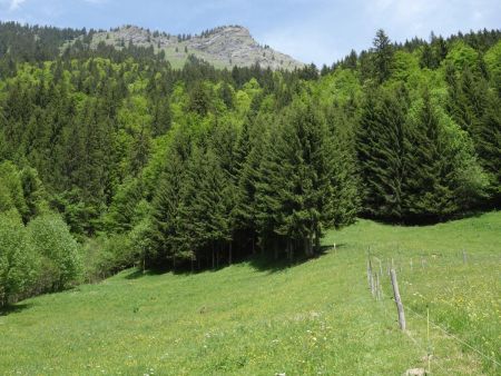 Au départ du sentier.