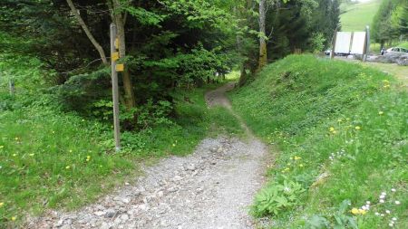 Sentier sous l’Abbaye