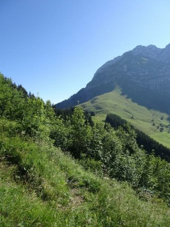 Col de l’Aulp