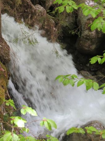 torrent de chérel