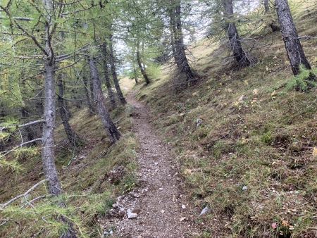 Sentier prolongeant la piste.