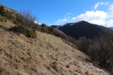 À la sortie des bois après la traversée du versant sud.