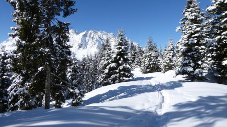 En suivant les jalons