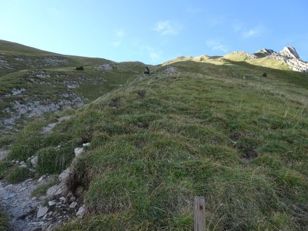 Regard arrière sur la cote 1997