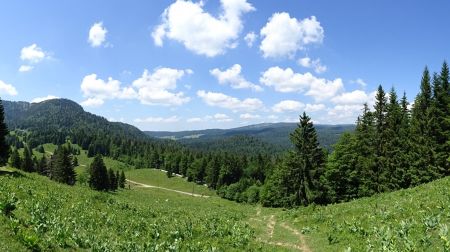 Regard arrière en montant vers la Barillette