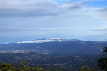 Ventoux