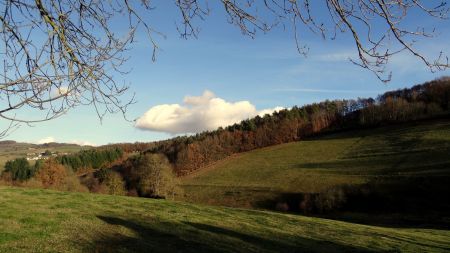 Le arbres sont bien dégarnis après le vent et le froid.