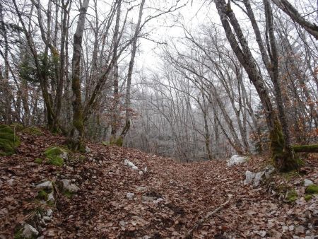 Sur la montagne du Châtelard