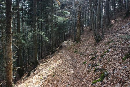 Joli sentier vers le Col du Baure