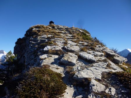 Le sommet du Pic de l’Aigle.