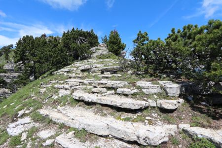 La crête sommitale.