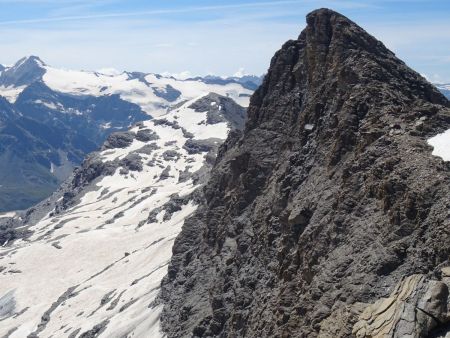 Zoom sur la Pointe du Montet : ça a l’air copieux