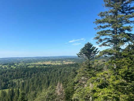 Du Belvédère, malheureusement,pas un mouflon en vue !