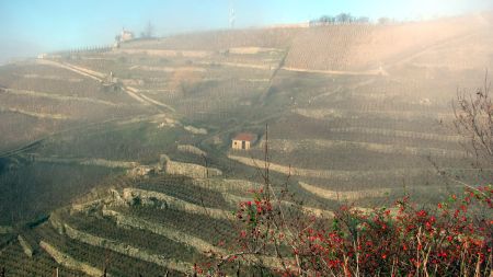 Vue sur les coteaux.