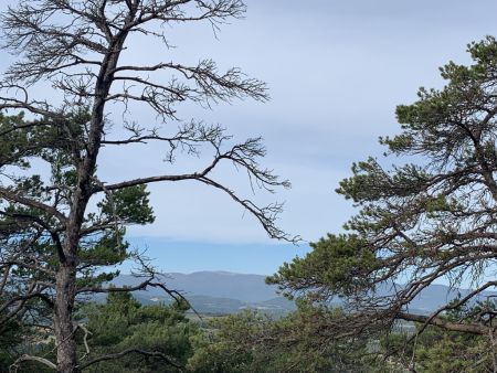 Montagne de Lure.