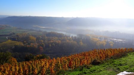 Panorama sur le Rhône et l’île de la Chèvre.