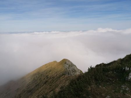 La brume arrive