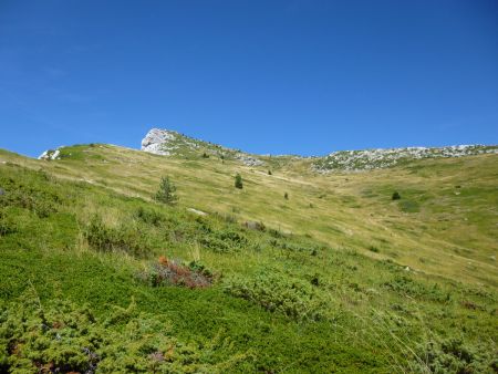 Dans le rétro.