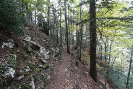 Sentier des Gardes.